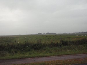Mitternacht-Radmarathon 228